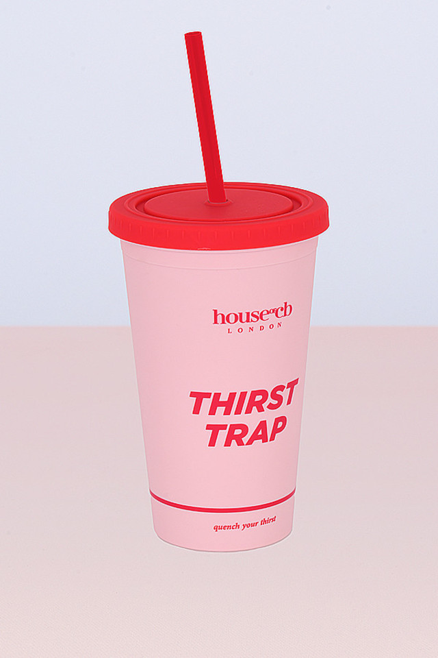 Pink Insulated Cup with Straw - Click Image to Close